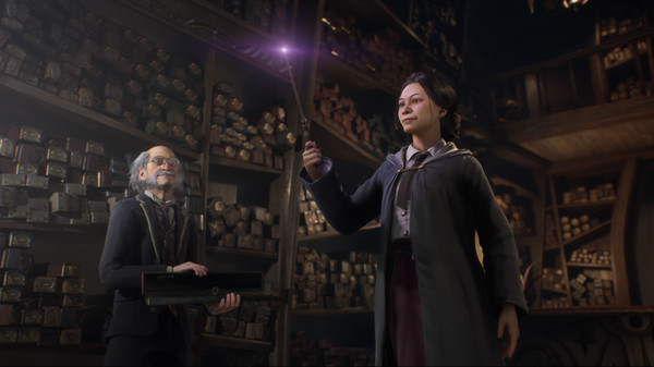 Hogwarts Legacy Beginner Route And Systems Checklist
